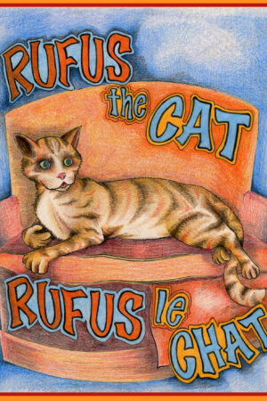 Rufus le chat-Rufus the cat